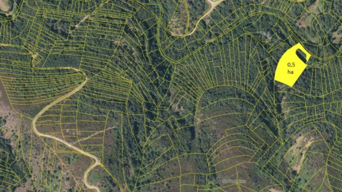 Detalle da parcelación dunha área forestal do distrito forestal Verín-Viana. Imaxe: Prominifun.